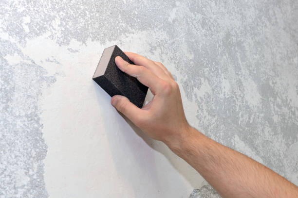  Pompano Beach, FL Mold Removal Pros