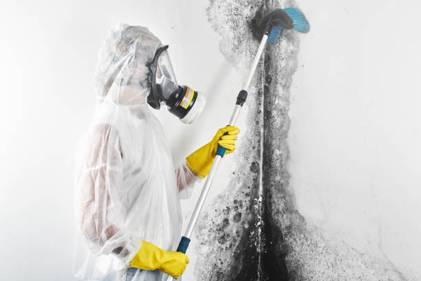 Best Emergency Mold Remediation  in Pompano Beach, FL