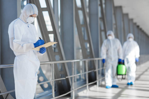 Best Basement Mold Removal  in Pompano Beach, FL