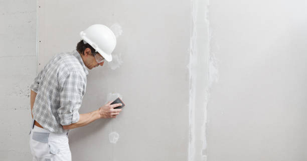 Best Black Mold Removal  in Pompano Beach, FL